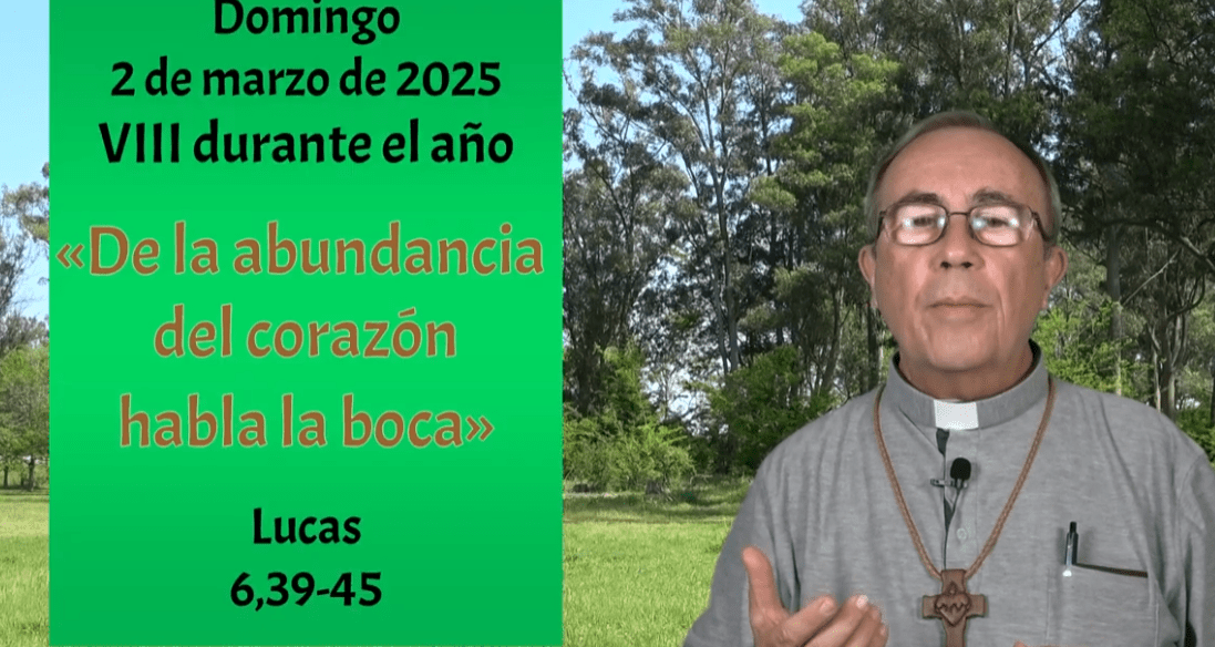 “De la abundancia del corazón habla la boca” (Lucas 6,39-45). VIII domingo durante el año.