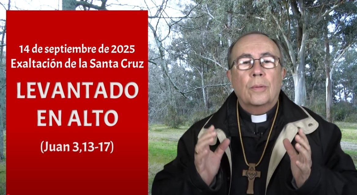 Levantado en alto