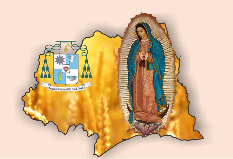 El Guadalupano Nº6