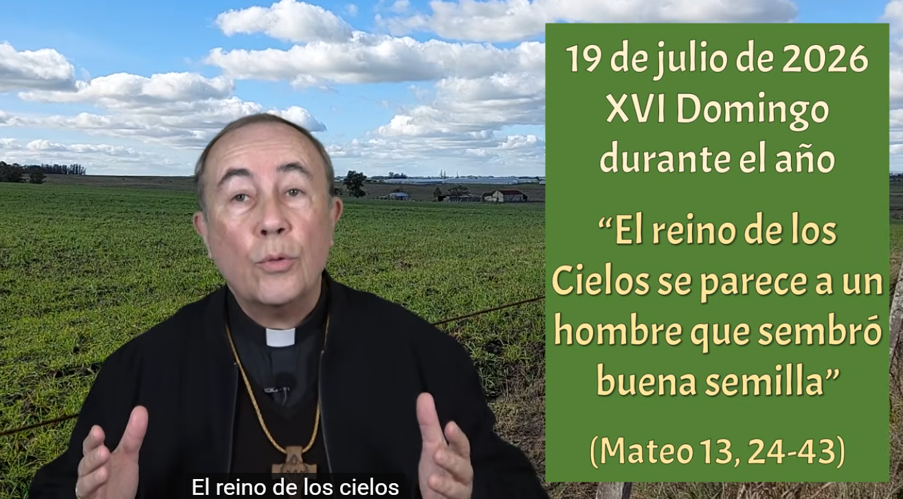 Dios todopoderoso, todopoderoso Amor:  el trigo y la cizaña