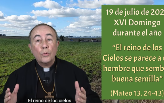 Dios todopoderoso, todopoderoso Amor:  el trigo y la cizaña